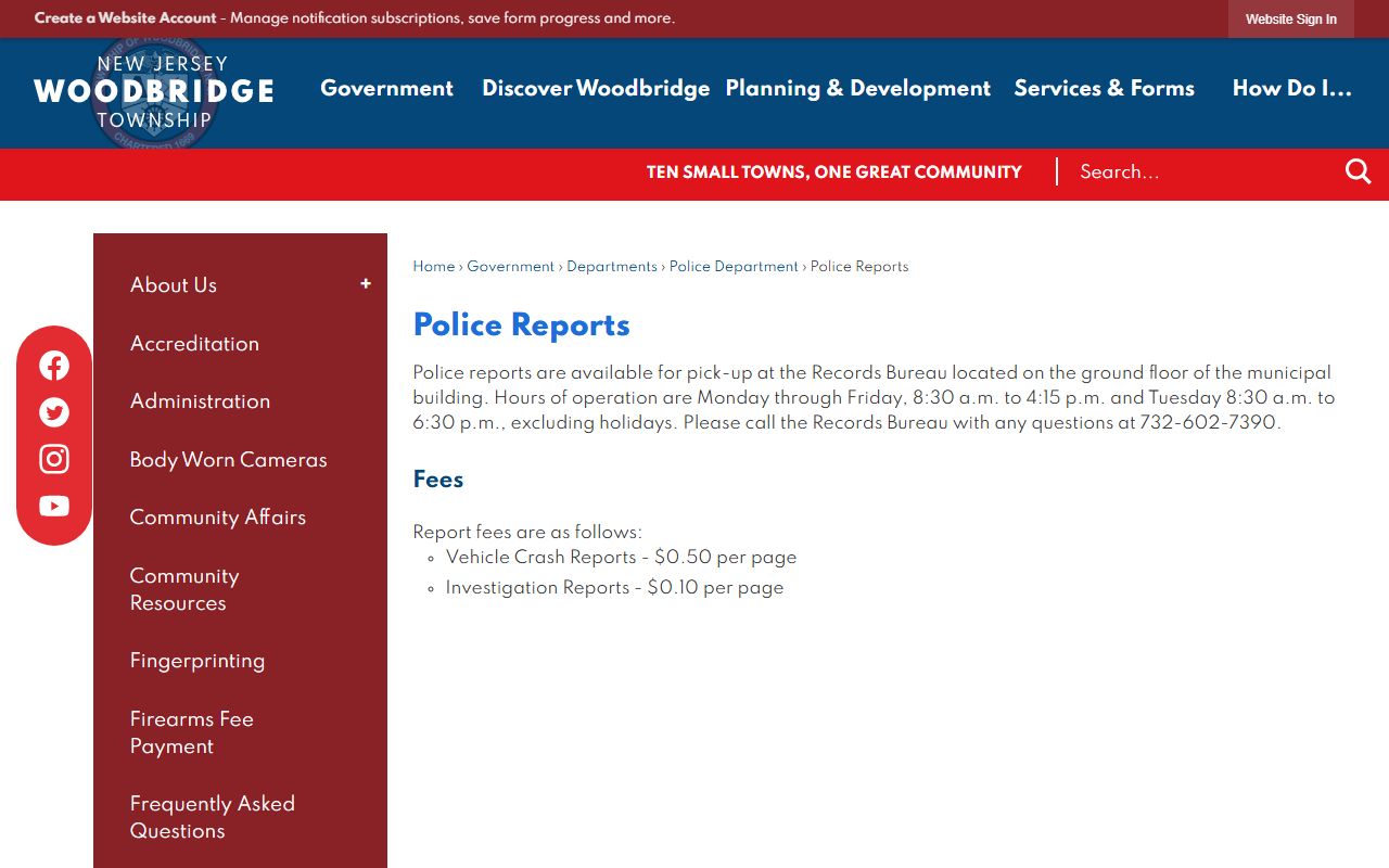 Woodbridge Township jail mugshots from Woodbridge Township police booking records