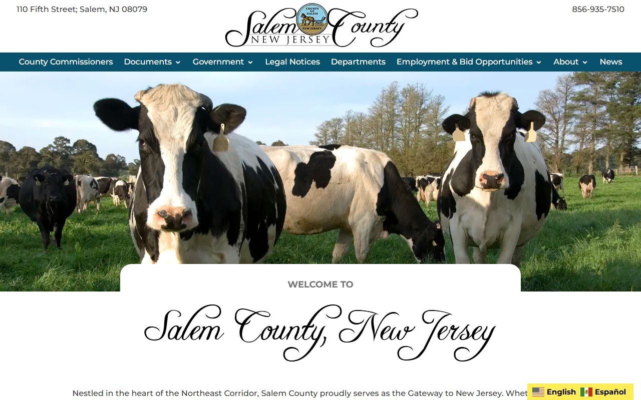 Salem County jail mugshots search on the official Salem County website